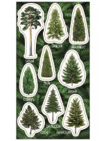 Opakowanie Naklejki Drzewa iglaste