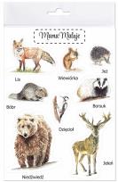 Opakowanie Naklejki duże Zwierzęta leśne 1