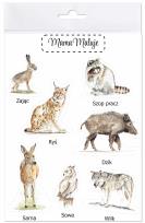 Opakowanie Naklejki duże Zwierzęta leśne 2