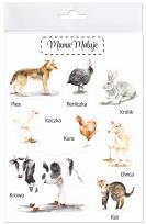 Opakowanie Naklejki duże Zwierzęta wiejskie 1