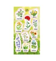 Opakowanie Naklejki Kwiaty polne