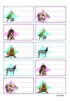 Opakowanie Naklejki na zeszyty 06