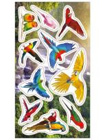 Opakowanie Naklejki Papugi