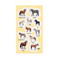 Opakowanie Naklejki Rasy koni