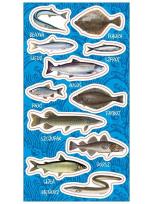 Opakowanie Naklejki Ryby bałtyckie