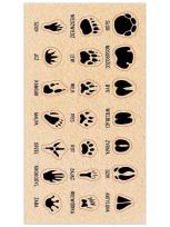 Opakowanie Naklejki Ślady zwierząt