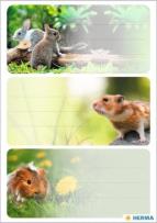 Opakowanie Naklejki szkolne - Gryzionie 9szt