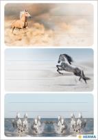 Opakowanie Naklejki szkolne - Konie 9szt