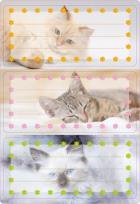 Opakowanie Naklejki szkolne - Kotki 6szt
