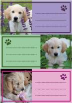 Opakowanie Naklejki szkolne - Pieski 9szt