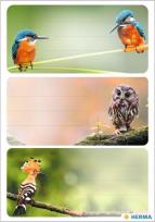 Opakowanie Naklejki szkolne - Ptaki 9szt