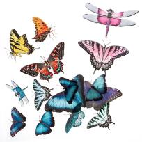 Opakowanie Naklejki transparentne PVC motyle