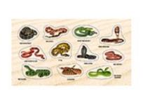 Opakowanie Naklejki Żmije i węże