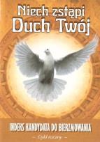 Opakowanie Niech zstąpi Duch Twój