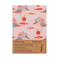 Opakowanie Notatnik A5/160K Plastilina 2019