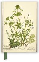 Opakowanie Notatnik A5 linia TW Kwiaty RBGE Charlotte Cowan