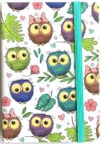 Opakowanie Notatnik ozdobny 115x150/120K kratla TW Sowy
