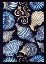 Opakowanie Notatnik ozdobny 143x200/64K kratka TW Muszle