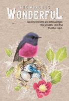 Opakowanie Notatnik ozdobny 143x210 64K kratka TW Skalinek