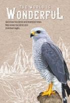 Opakowanie Notatnik ozdobny 143x210 64K kratka TW Sokół