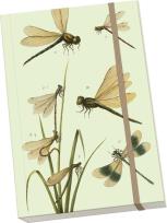 Opakowanie Notatnik ozdobny A5 STNOTE 98 Ważki