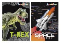 Opakowanie Notes A6/50K kratka mix chlopięcy (10szt) BAMBINO