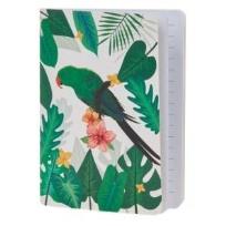 Opakowanie Notes papuga Ara zielona (6szt)