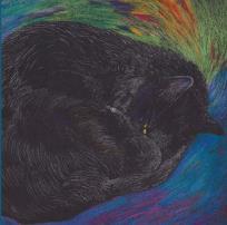 Opakowanie Notes. Wielkie sny