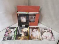 Opakowanie Notes z gumką MIX