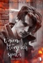 Okładka książki Ogień, który ich spala. Elements. Żywioły. Tom 2