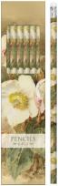 Opakowanie Ołówki ozdobne STPEN01 ciemiernik 6 sztuk