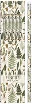 Opakowanie Ołówki ozdobne STPEN04 paprotki 6 sztuk