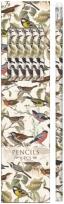 Opakowanie Ołówki ozdobne STPEN06 ptaszki 6 sztuk