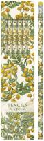 Opakowanie Ołówki ozdobne STPEN19 mimoza - zestaw 6 sztuk