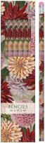 Opakowanie Ołówki ozdobne STPEN22 dalia - zestaw 6 sztuk