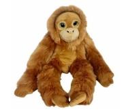 Opakowanie Orangutan big eyes 50cm