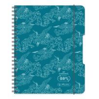 Opakowanie Paczka Kołobrulion B5 80 k. kratka  Eco PP Colors turkus 4 szt.