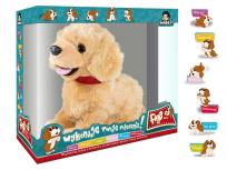 Opakowanie Pies Figo interaktywny