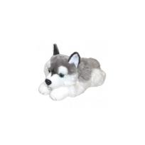 Opakowanie Pies Husky 42cm