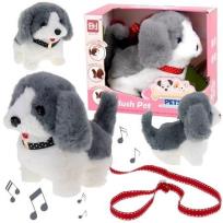 Opakowanie Pies interaktywny