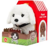 Opakowanie Piesek chodzący