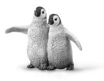 Opakowanie Pingwin cesarski młode
