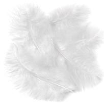 Opakowanie Pióra indycze białe 15 cm 5 szt.
