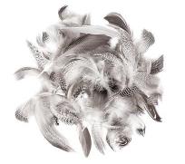 Opakowanie Pióra Kacze 5-12cm 5g