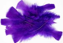 Opakowanie Piórka 10g 14-18cm