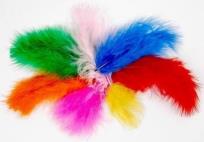 Opakowanie Piórka 10g 5-12cm