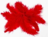 Opakowanie Piórka 10g