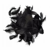 Opakowanie Piórka czarne 5-12cm 10g