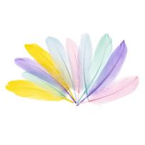Opakowanie Piórka gęsie 15-20cm pastelowe