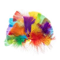 Opakowanie Piórka indycze trójkątne 5-10cm